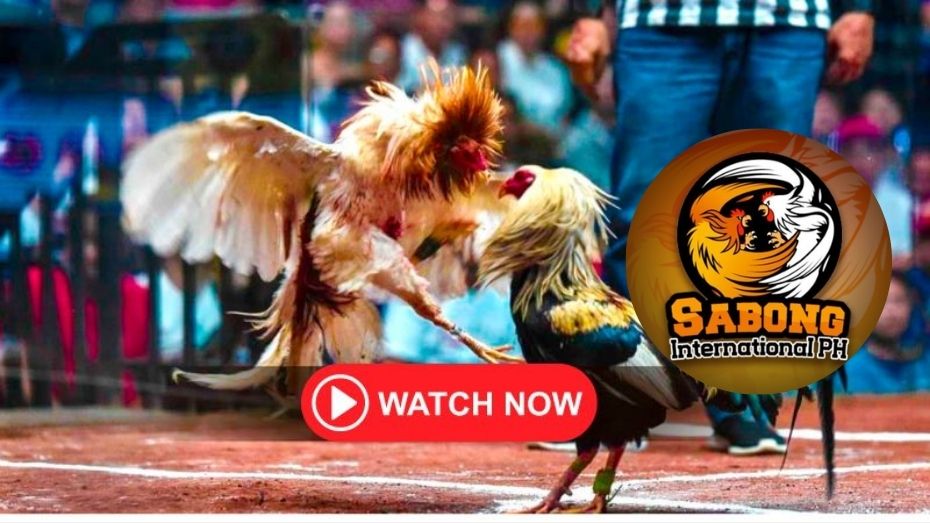 how to place a street bet in roulette